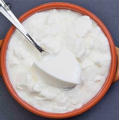 Natural Fresh Delicious Curd for Cooking