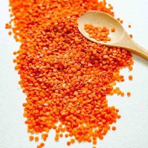 Natural Fresh Red Lentils for Cooking