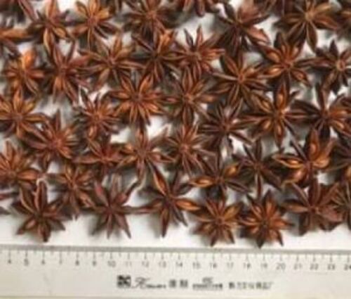 Natural Fresh Star Anise for Cooking