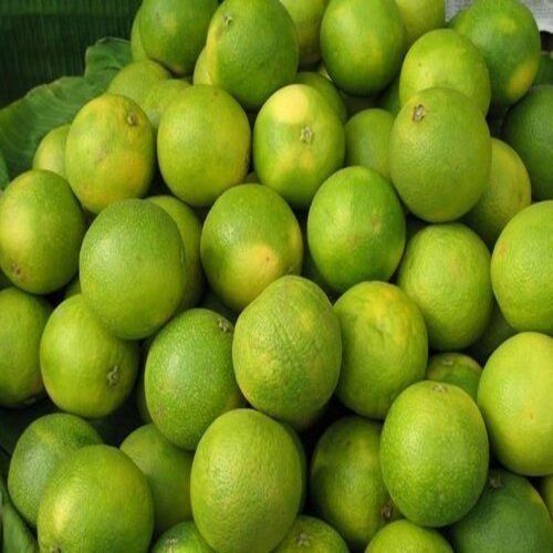 Size 5-8cm Energetic Easy To Digest Natural Taste Fresh Sweet Lime