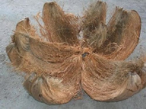 Eco Friendly Brown Color Coconut Husk