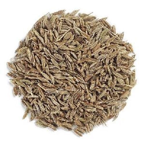 Natural Fresh Cumin Seeds for Cooking