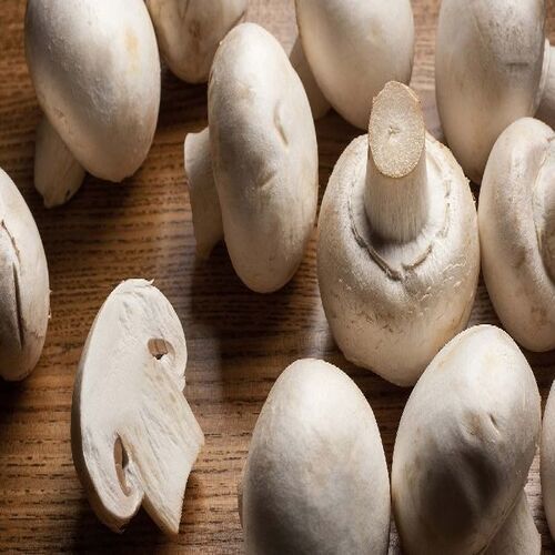 Fresh Whole Food Grade White Mushroom - Total Fat 0.3g, Sodium 5mg, Potassium 318mg | Natural Taste, Non-Harmful, High-Quality Nutrition, Ideal for Healthy Diets