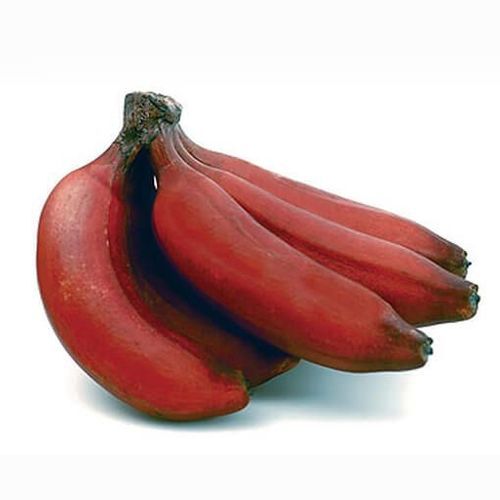 Fat 0.37g Protein 1.3g Sweet Delicious Healthy Nutritious Organic Fresh Red Banana