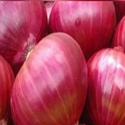 No Artificial Flavour Natural Taste Healthy Fresh Red Onion