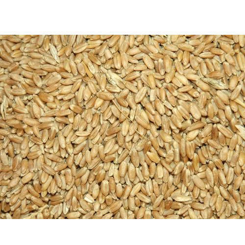 Calcium 63% Total Fat 47% Good Natural Taste Dried Brown Organic Wheat Seeds