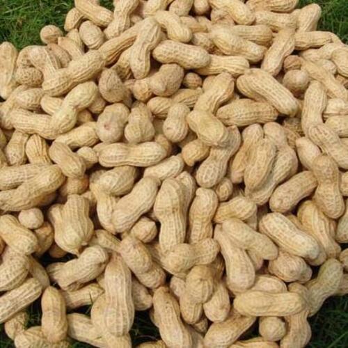 Calcium 9% Potassium 705mg Natural Fine Taste Dried Shelled Peanuts