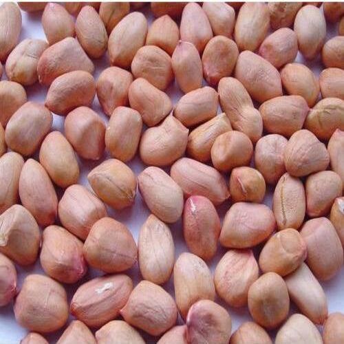 Carbohydrate 16gm Magnesium 42% Rich Natural Taste Brown Peanut Seeds