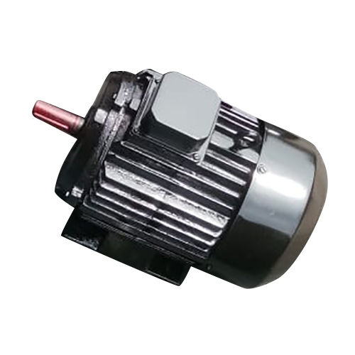 Electric Induction Motor