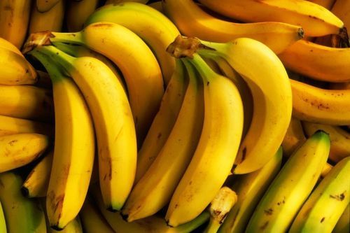 Healthy Nutritious Natural Sweet Taste Fresh Cavendish Banana
