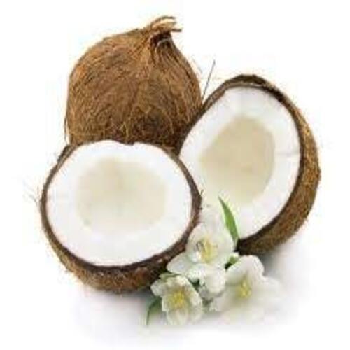 Maturity 100% Good Natural Taste Healthy Organic Brown Semi Husked Coconut
