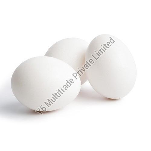  खाना पकाने के लिए प्राकृतिक सफेद ताजे अंडे