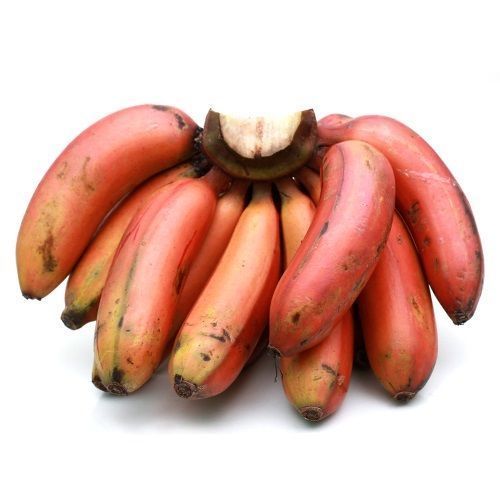 Total Fat 0.3g Absolutely Delicious Healthy Nutritious Organic Fresh Red Banana