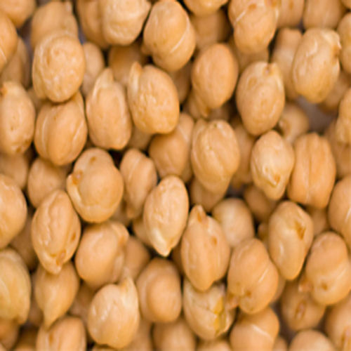 High in Protein Healthy Natural Dried White Chickpeas