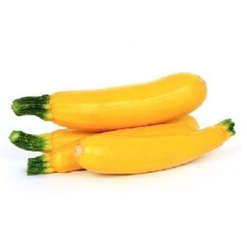 Natural Fresh Yellow Zucchini for Cooking