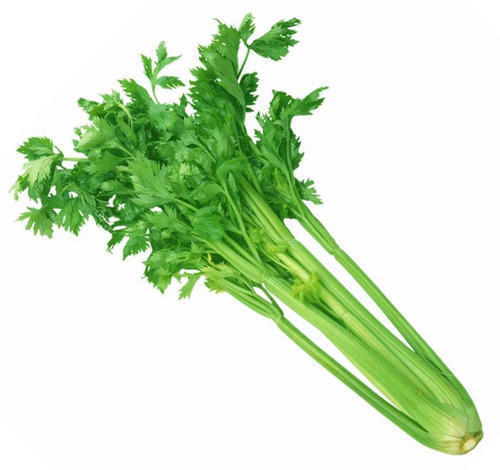 Natural Green Fresh Celery Leaves For Cooking Preserving Compound: Cool & Dry Places