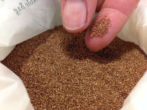 A Grade Dried Quinoa Grain