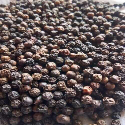 Admixture 5% Healthy Rich in Taste Dried Natural Black Pepper Seed