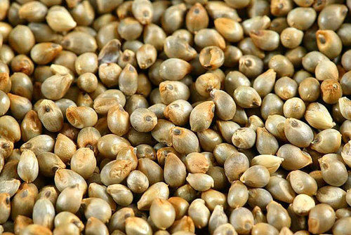 High Nutritional Value Natural Taste Healthy Organic Dried Soybean Seeds Grade: Food Grade