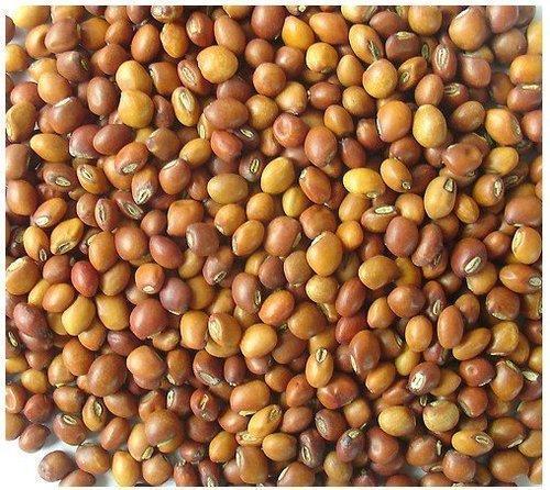 Natural Brown Pigeon Pea Seeds