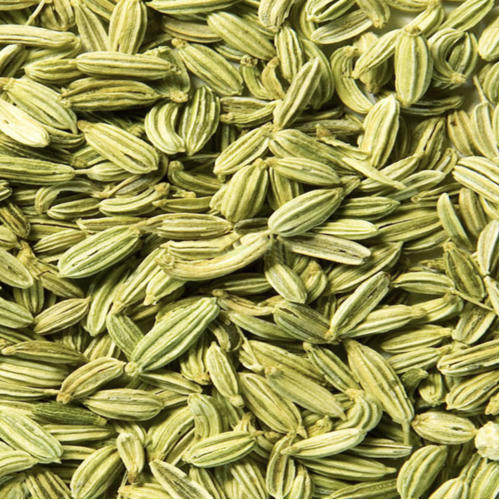 Coliforms 30g Impurity 1% Natural Healthy Dried Pure Rich In Taste Green Fennel Seeds