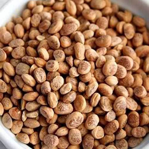 Natural Brown Charoli Seeds For Cooking Grade: Food Grade