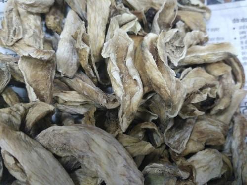 Common Natural Brown Dried Mango