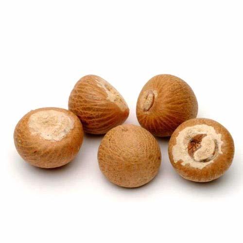 Natural Brown Whole Betel Nuts