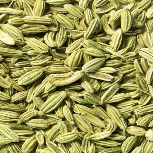 Natural Green Fennel Seeds For Cooking