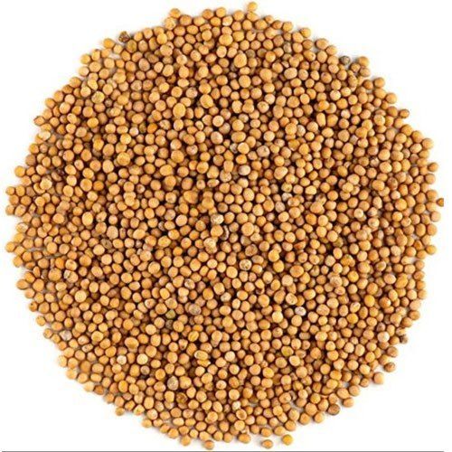 Yellow Mustard Seeds for Cooking