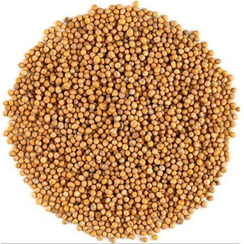 Natural Yellow Mustard Seeds For Cooking