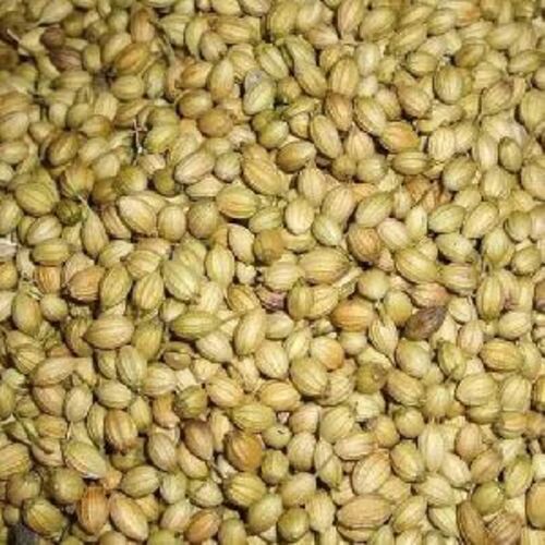 Brown Natural Coriander Seeds For Cooking