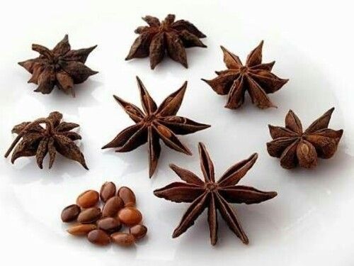 Natural Brown Star Anise Seeds for Cooking