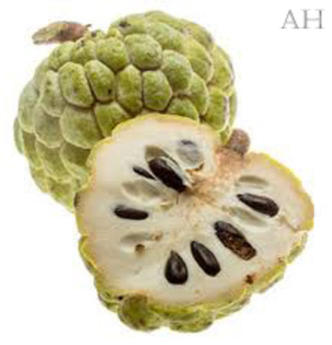 Natural Fresh Custard Apple Fruits