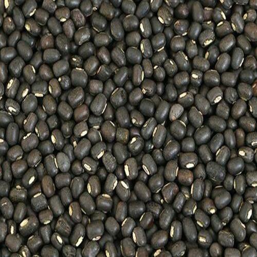 Calcium 13% Protein 50% Healthy Natural Dried High in Protein Whole Black Urad Dal