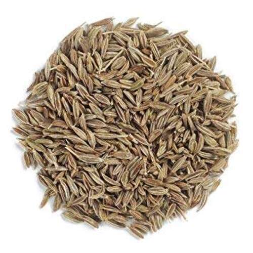 Total Fat 22g Dried Rich In Taste Natural Healthy Brown Cumin Seeds