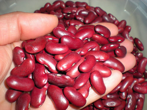  ब्लड शुगर को नियंत्रित करने के लिए उच्च गुणवत्ता वाली लाल किडनी बीन्स
