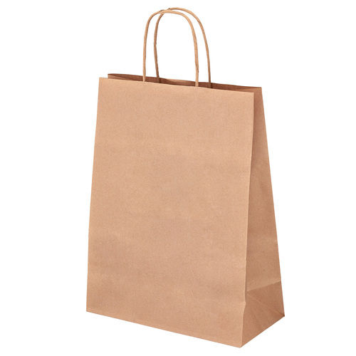 Recyclable Kraft Paper Bags Size 12