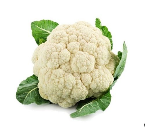 Natural Fresh Cauliflower for Cooking