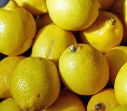Natural Round Fresh Lemon
