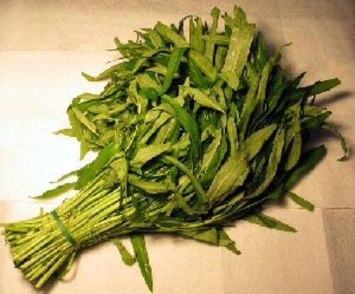 Natural Fresh Water Spinach For Cooking