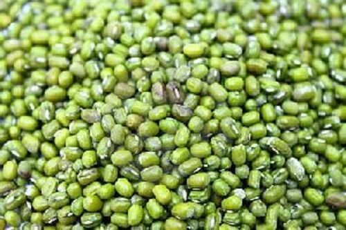 Natural Green Mung Bean for Cooking