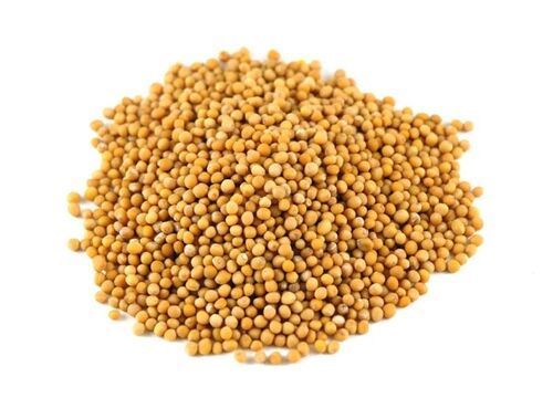 Natural Yellow Mustard Seeds for Cooking