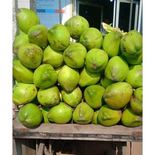 Fresh Green Tender Coconut