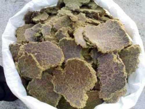 Natural Animal Feed Cotton Seed Cake