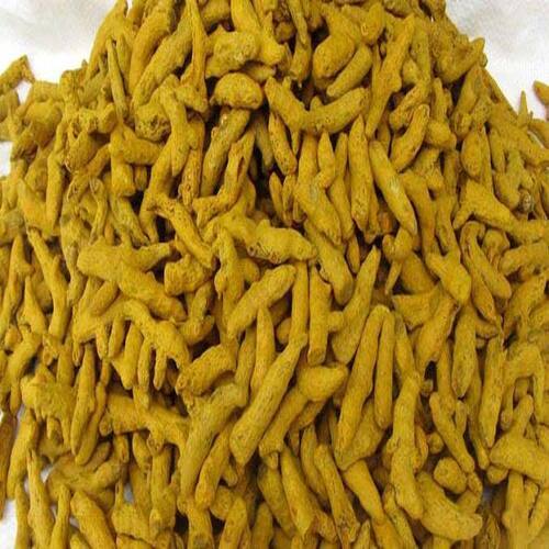 Fine Natural Taste No Added Color Healthy Dried Yellow Mini Salem Turmeric Finger Grade: Food Grade