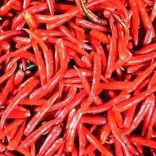 Hygienic Packing Hot Spicy Natural Taste Rich in Color Healthy Organic Dried Red Chilli