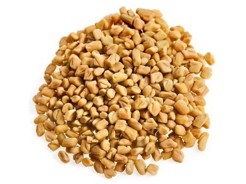 Moisture 8% Excellent Quality Rich In Taste Dried Healthy Fenugreek Seeds