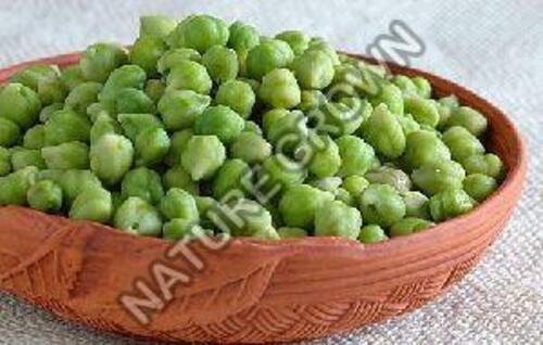 Natural Fresh Green Chickpeas for Cooking