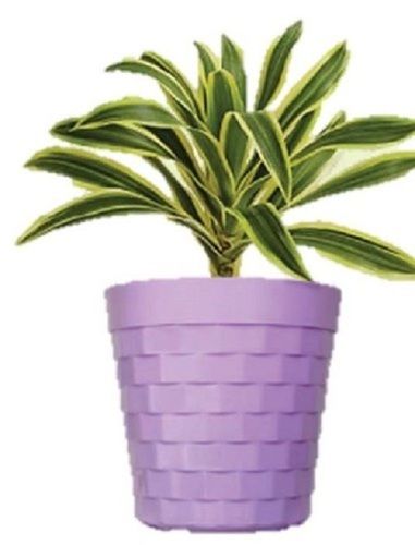 Plastic Purple Decorative Flower Pot